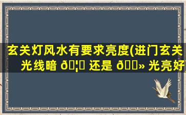 玄关灯风水有要求亮度(进门玄关光线暗 🦅 还是 🌻 光亮好)